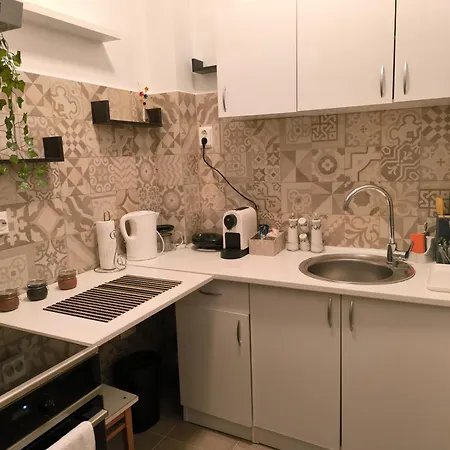 Διαμέρισμα The Corner Loft - Cismigiu Garden Βουκουρέστι