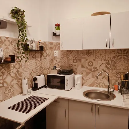 The Corner Loft - Cismigiu Garden בוקרשט