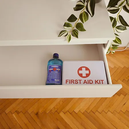 דירה The Corner Loft - Cismigiu Garden